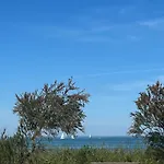 Des Pins Saint-Denis-dʼOléron